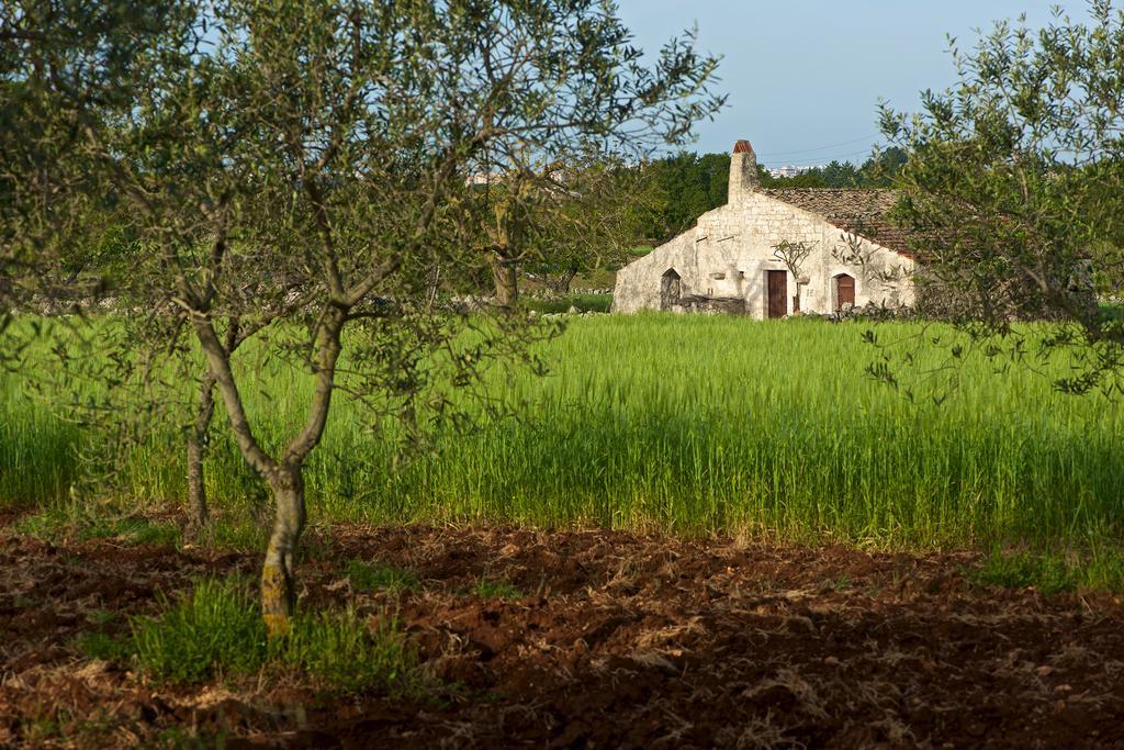 Masseria Ciavea Gioia Del Colle Ngoại thất bức ảnh