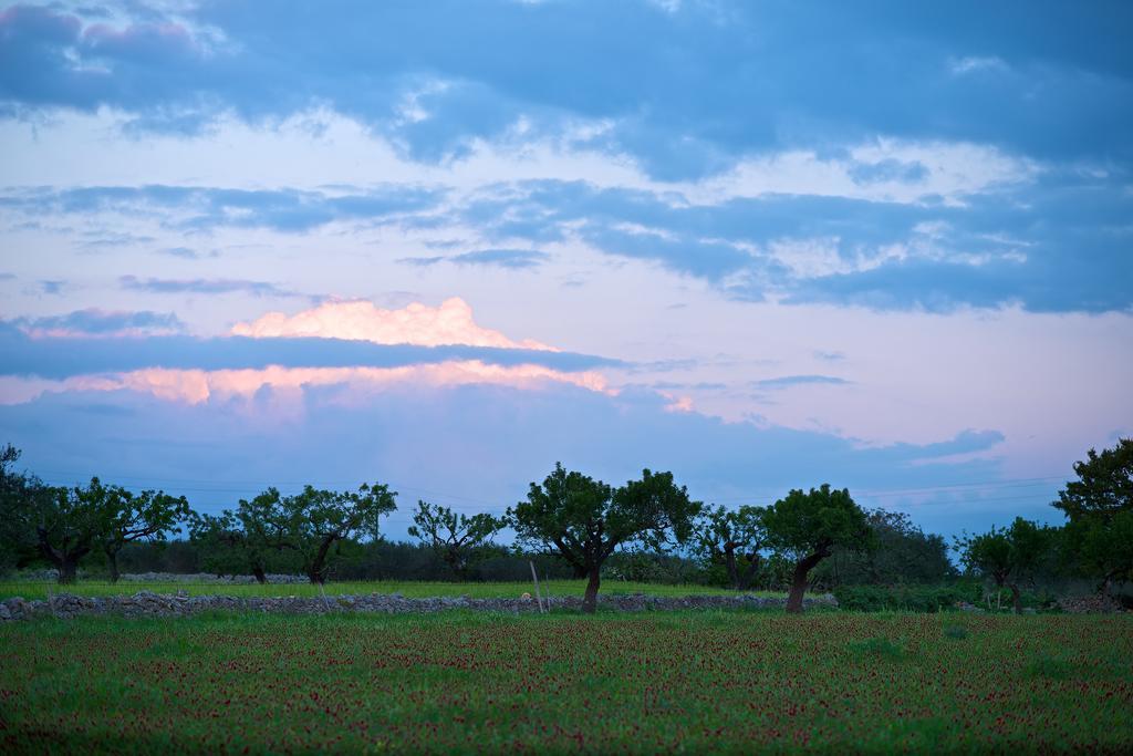 Masseria Ciavea Gioia Del Colle Ngoại thất bức ảnh